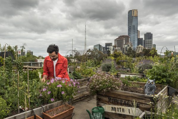 Man gardening on roof top car park at Federation Square in Melbourne’s CBD, which was transformed into a vegetable garden. Made up of over 140 do-it-yourself veggie plots housed in individual recycled apple crates – the majority of which were leased to the public who live in the city. 

Unfortunately, soon after this image was taken, the owners were forced to vacate the premise of this prime commercial location and it no longer exists.

Melbourne, Victoria, Australia June, 2016