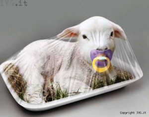 Enpa, appello a Papa Francesco contro la “mattanza” pasquale degli agnelli
