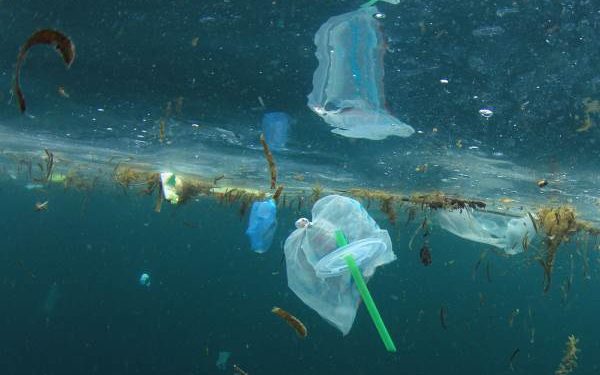 Plastica negli oceani