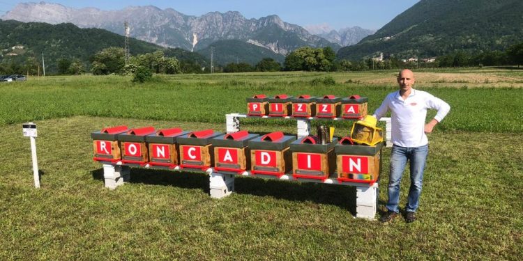 Roncadin, l'azienda che produce pizze surgelate ma che protegge l'ambiente con l'aiuto di 650.000 api (Foto Roncadin)