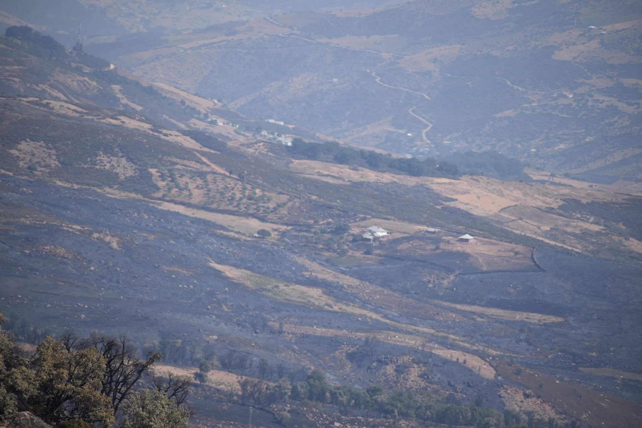 In Marocco le fiamme stanno distruggendo la foresta di Bouhachem