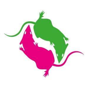 Logo RatPark