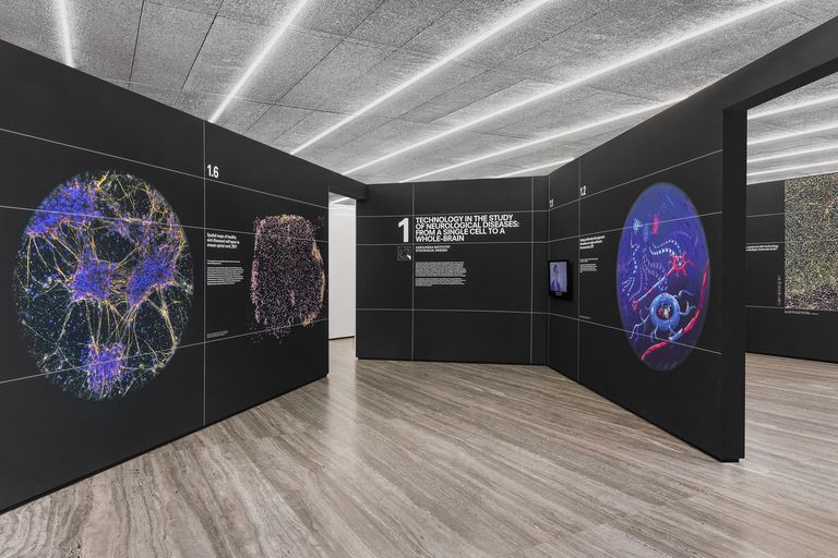 Immagine della mostra / Exhibition view of “Preserving The Brain”