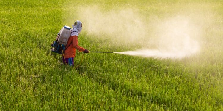 Avvelenamento da pesticidi