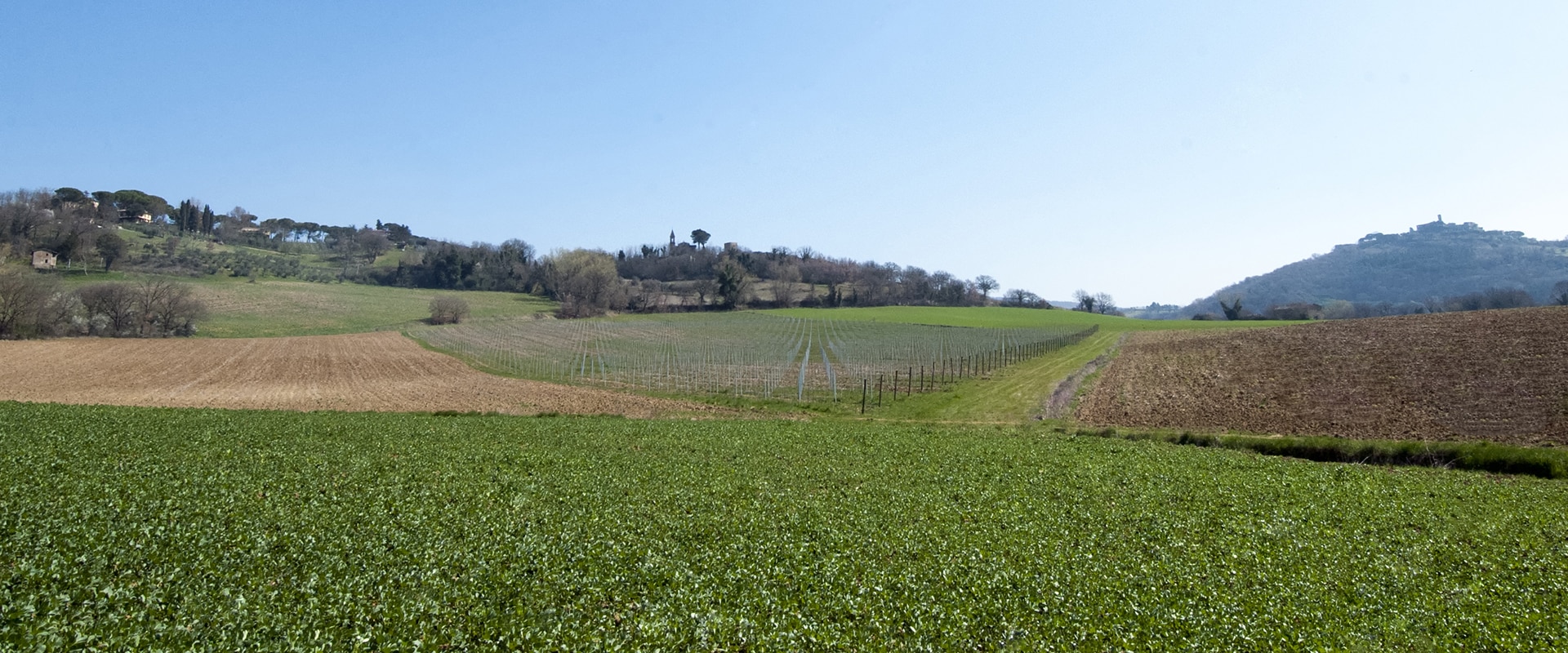 Una panoramica della tenuta agricola della famiglia Bennicelli