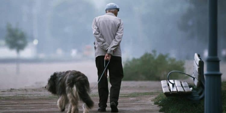 Il contatto animale-anziano può portare un miglioramento della qualità della vita a quest'ultimo