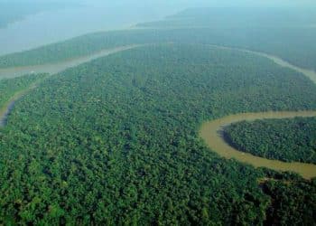 amazzonia-deforestazione