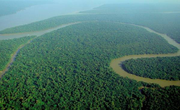 I cercatori d'oro invadono le popolazioni dell'Amazzonia (Ansa)