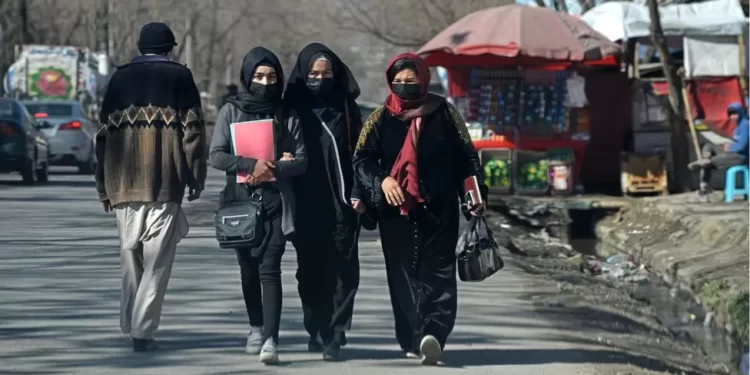 Studentesse universitarie afghane
