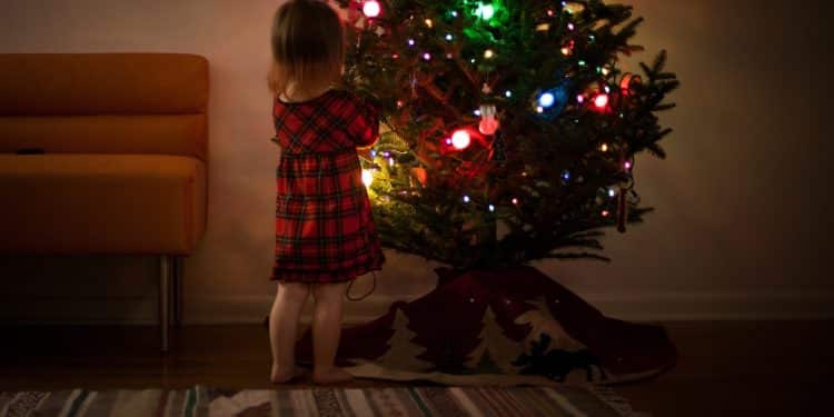 L'8 dicembre, da tradizione, si realizza l'albero di Natale
