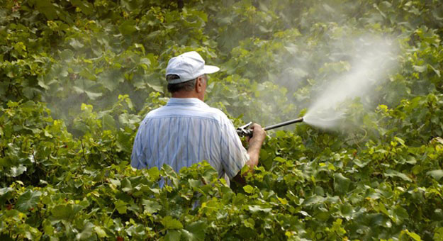 Avvelenamento da pesticidi legato all'agroalimentare a Mato Grosso