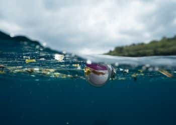 Rifiuti di plastica nel Mediterraneo
