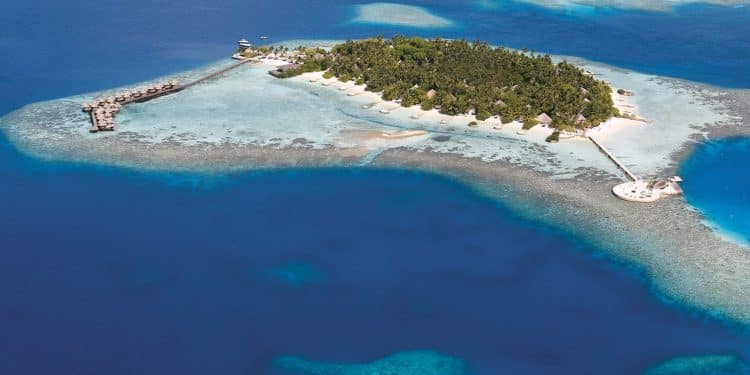 Nika Island il 2 aprile sarà proclamata prima "isola gentile" al mondo