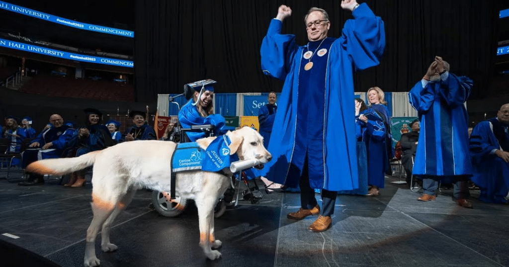 cane da laurea