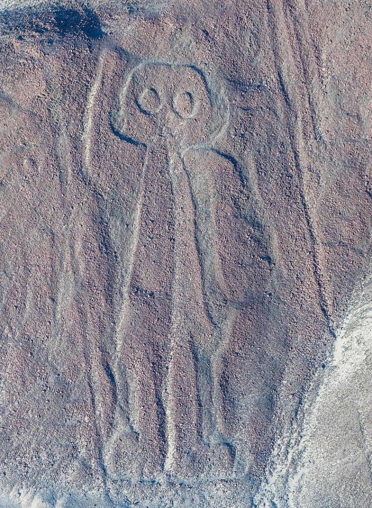 Linee di Nazca: scoperte nuove figure grazie all'intelligenza ...