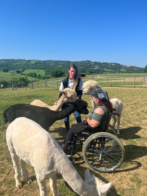 alpaca-terapia-disabilita