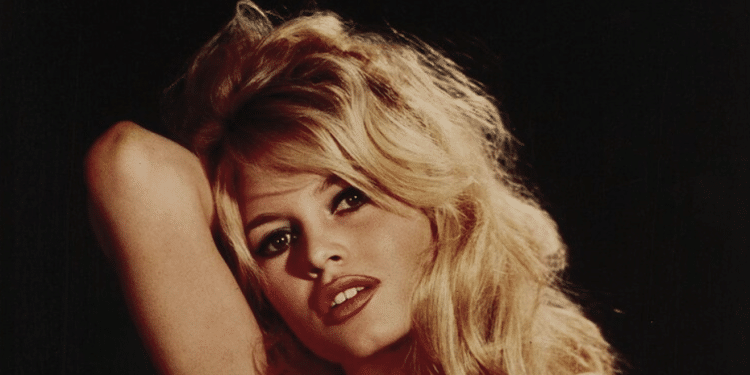Brigitte Bardot rivendica il diritto all'oblio (Ansa)