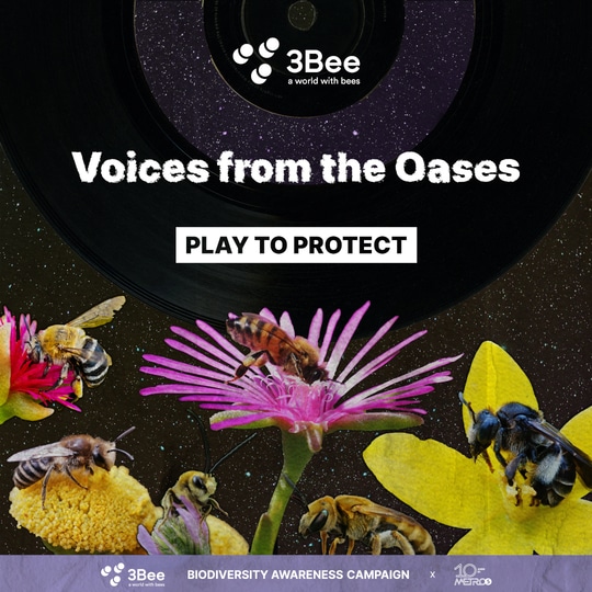 3bee-playlist-biodiversita